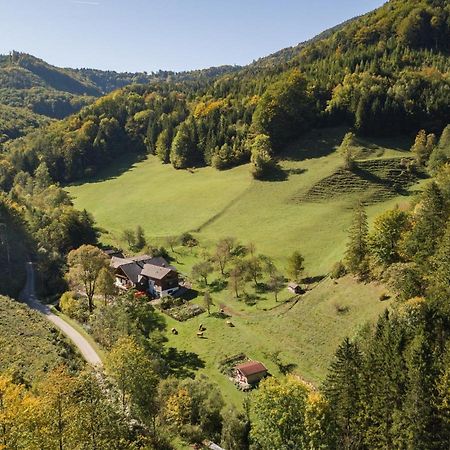 Urlaub Mitten Im Wald - Lueg Scheibbs Luaran gambar