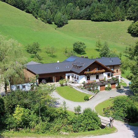 Urlaub Mitten Im Wald - Lueg Scheibbs Luaran gambar