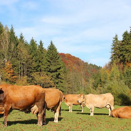 Urlaub Mitten Im Wald - Lueg Scheibbs Luaran gambar