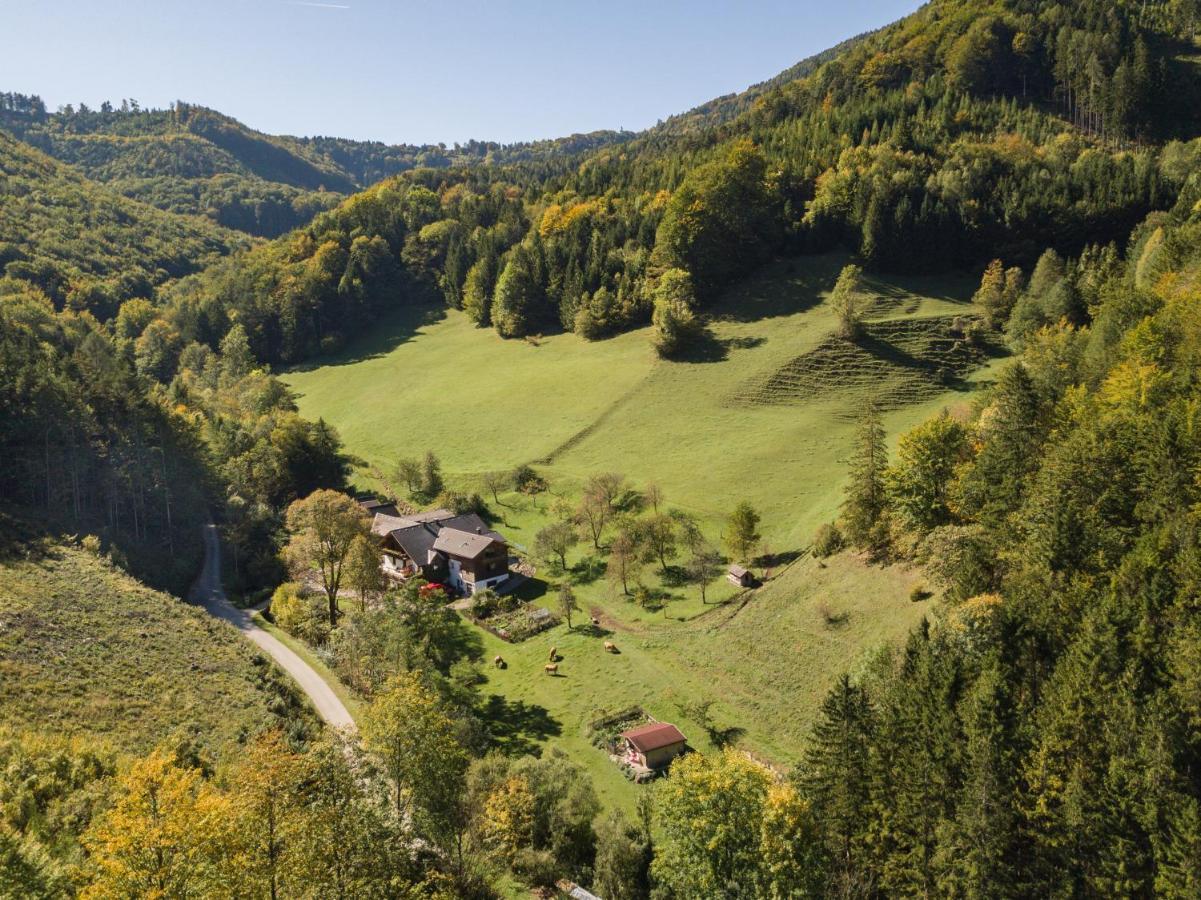 Urlaub Mitten Im Wald - Lueg Scheibbs Luaran gambar