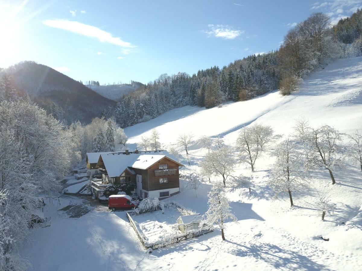 Urlaub Mitten Im Wald - Lueg Scheibbs Luaran gambar