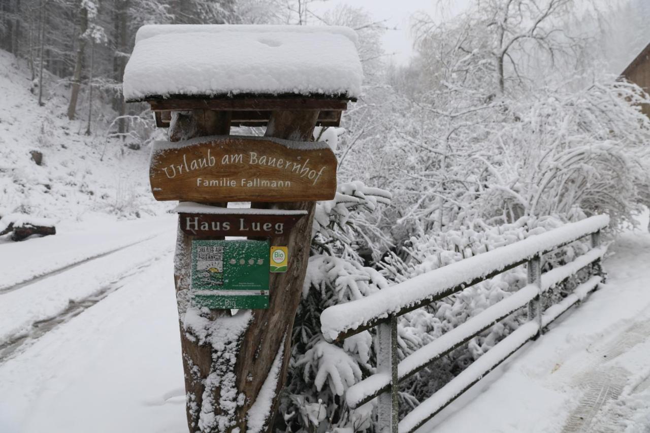 Urlaub Mitten Im Wald - Lueg Scheibbs Luaran gambar